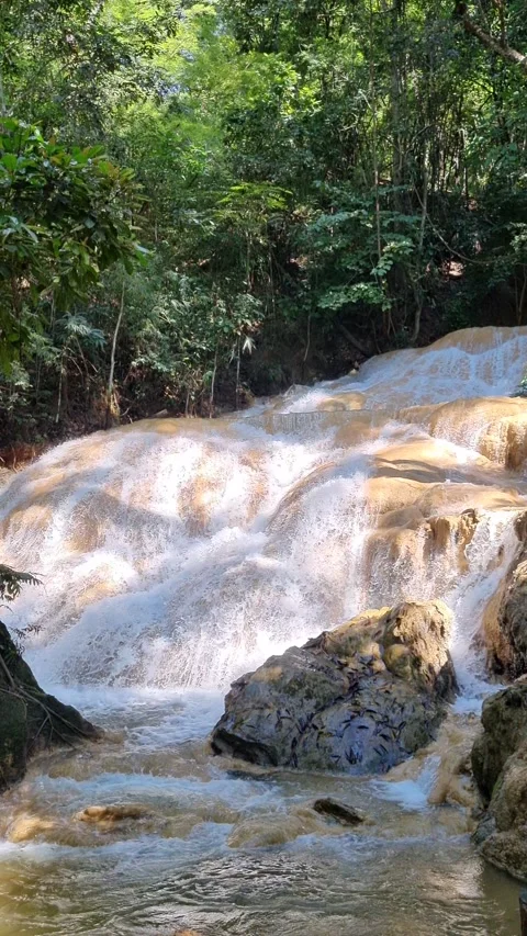 Waterfall stream flows through the river in the midst of nature green forest Stock Footage 236757998