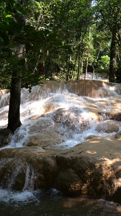 Waterfall stream flows through the river in the midst of nature green forest Stock Footage 236825304