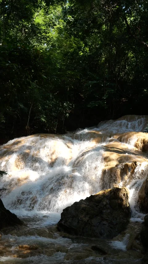 Waterfall stream flows through the river in the midst of nature green forest Stock Footage 236825321