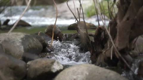 Waterfall stream flows through rocks and green moss. Stock Footage 226583901
