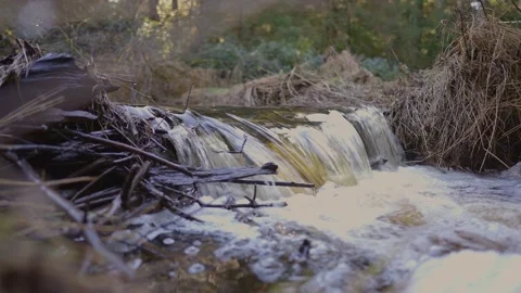 Waterfall on a stream Stock Footage 171949363