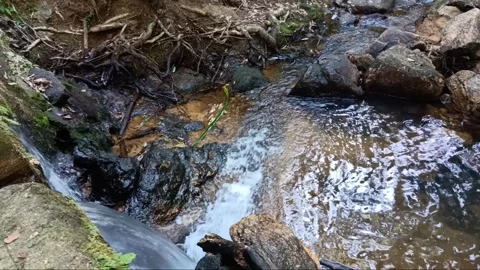 Waterfall of stream Stock Footage 258809660