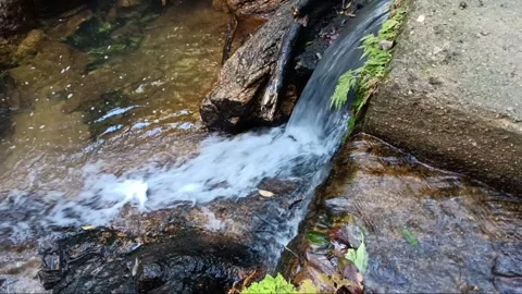 Waterfall of stream Stock Footage 260163466