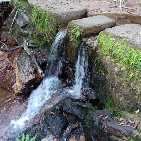 Waterfall of stream Stock Footage 260163806