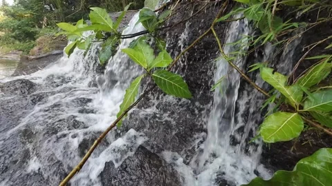 Waterfall Stream with Green Leaves and Natural Rock Texture 4K Stock Footage 337309213