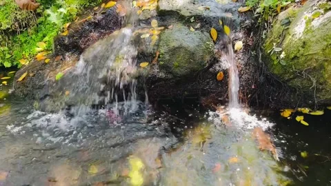 Waterfall in a stream with green natural forest Stock Footage 304272857
