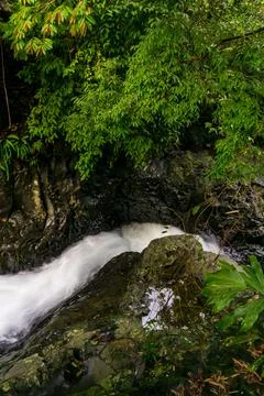 Waterfall stream in Indonesia's tropical rain forest Stock Photos