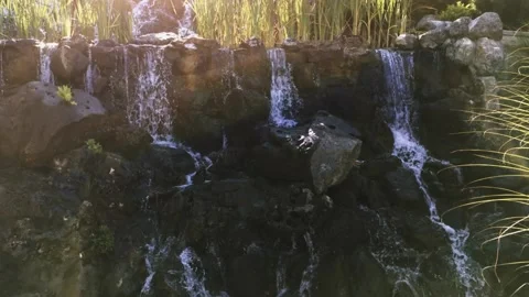 Waterfall from the stream to the lake of the mansion Video stock 138113065