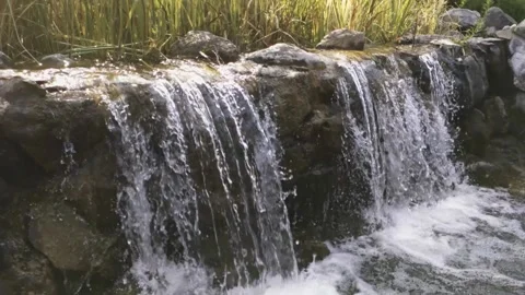 Waterfall from the stream to the lake of the mansion Video stock 138113137