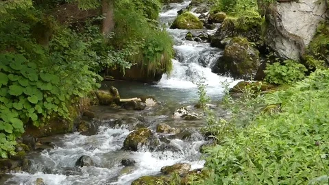 Waterfall Stream in the Mountains Stock Footage 97313054