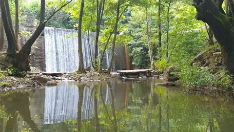 Waterfall, Stream, Natural Waterfall Video stock 144693184