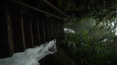 Waterfall Stream in Reserva Rio Bravo Mindo Ecuador Stock Footage 336795793