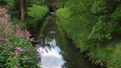 Waterfall stream river stoneleigh abbey estate stately home warwickshire uk Видео 78763881