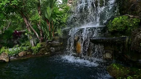 Waterfall, Stream, water fall Stock-Footage 314733016
