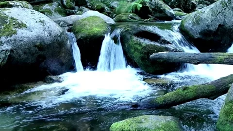 Waterfall, Stream, water fall Stock Footage 314733356