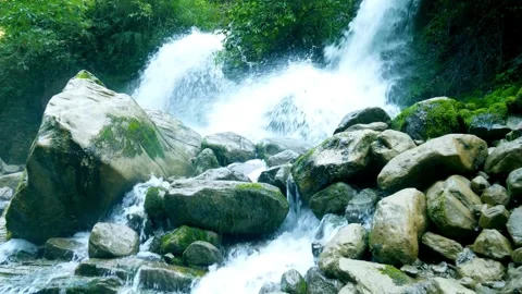 Waterfall, Stream, water fall Vídeos de archivo 314733958
