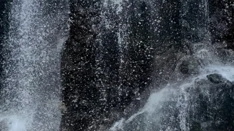Waterfall, Stream, water fall 스톡 동영상 314734323