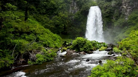 Waterfall, Stream, water fall Stock Footage 314734499