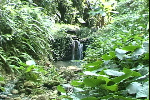 Waterfall Stream-ws Видео 821042