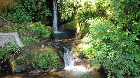 Waterfall streams from mountain springs in the middle of natural forest Video stock 242476754