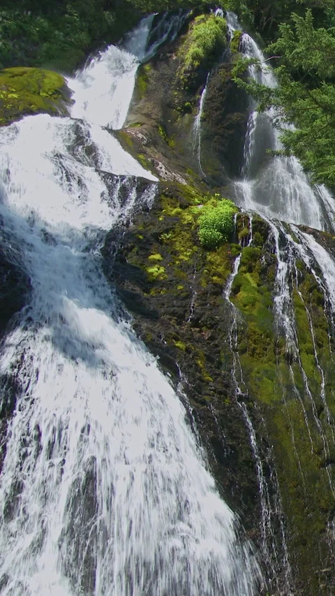 Waterfall Streams Over Mossy Rock Face Vertical Video 库存影片 346065218