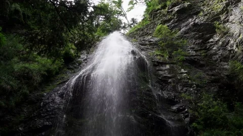 Waterfall strong splashes tree branches bottom view Stock Footage 137919999