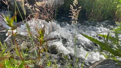 A waterfall in a suburban park Stock Footage 172108467