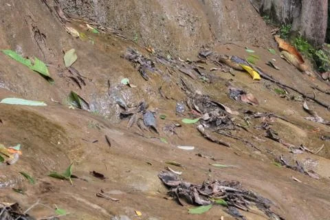 Waterfall in summer Stock Photos