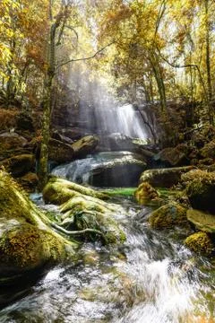 Waterfall with sunbeam in rainforest. Stock Photos