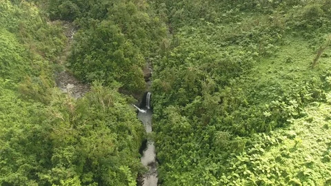 Waterfall surrounded by the dense forest Stock Footage 105419232
