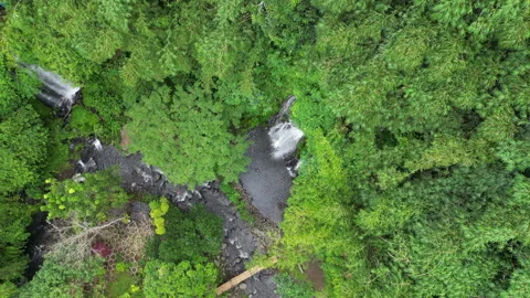 Waterfall Surrounded By Jungle Banyuwangi Java Indonesia Drone Descend Man Vídeos de archivo 328492260