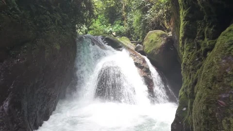 Waterfall Surrounded by Lush Green Vegetation Stock Footage 343420441