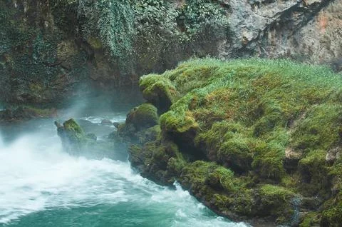 Waterfall surrounded by lush greenery Stock Photos