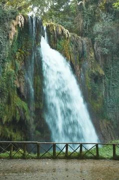 Waterfall surrounded by lush greenery Stock Photos