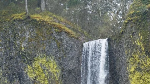 Waterfall surrounded by springtime mosses and lichens. 스톡 동영상 88222128