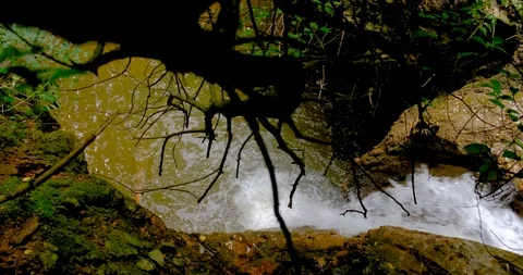 Waterfall surrounded by swaying branches and trees Stock Footage 125773313