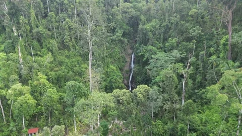 Waterfall Surrounded by Trees in El Nido, Philippines Stock Footage 303281371