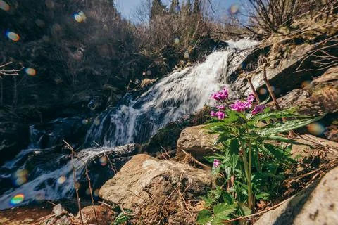 A waterfall surrounded by trees Stock Photos