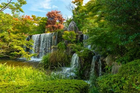 Waterfall Surrounded by trees Stock Photos