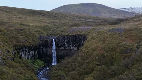 Waterfall Svartifoss surrounded by dark lava basalt columns, Iceland Stock Footage 173267053