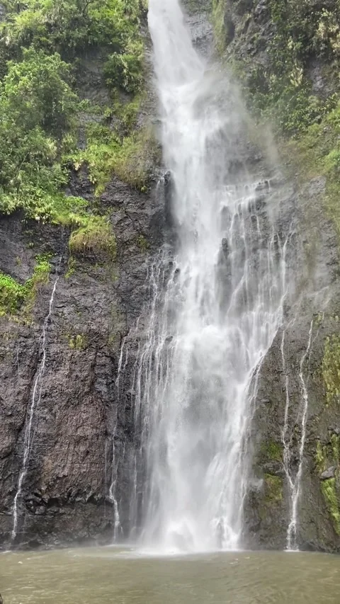 Waterfall in Tahiti 库存影片 344546419