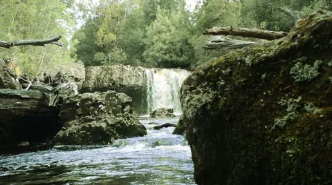 Waterfall Tasmania. Stock Footage 61684667