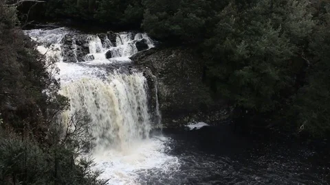 Waterfall in Tasmania Vidéo 80012877