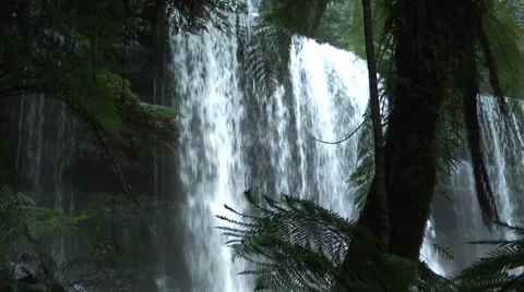 Waterfall in tasmania rain forest in mount field national park Stock Footage 30637352