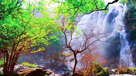 Waterfall in Thailand. Vídeos de archivo 285315022