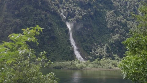 Waterfall through bushes at Doubtful Sounds Видео 327764757