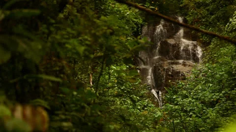 Waterfall Through Lush Green Trees In Costa Rica HD Video Video stock 25064059
