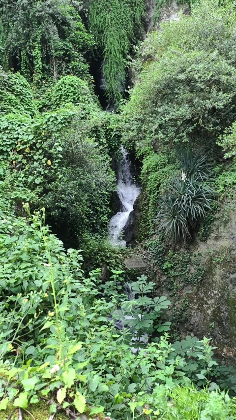 Waterfall Through Lush Green Vegetation Parc des Buttes-Chaumont Paris Vidéo 336499961