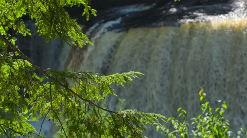 Waterfall Through Pine Tree Branches Stock Footage 166117764