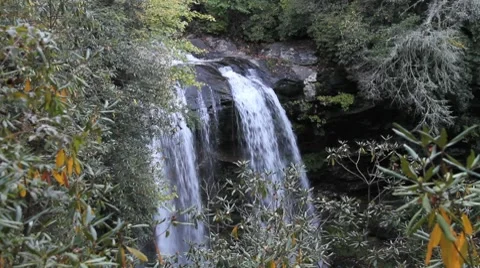 Waterfall  Through Trees Video stock 8834854